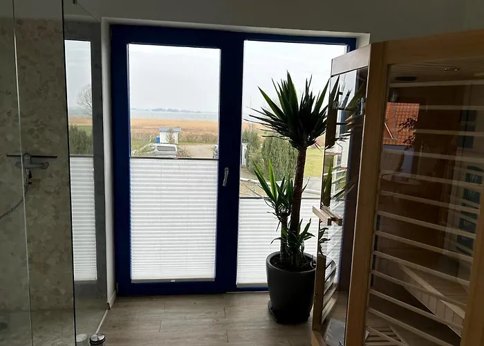 Bodden-adler * Fuhlendorf (Mecklenburg-Vorpommern)